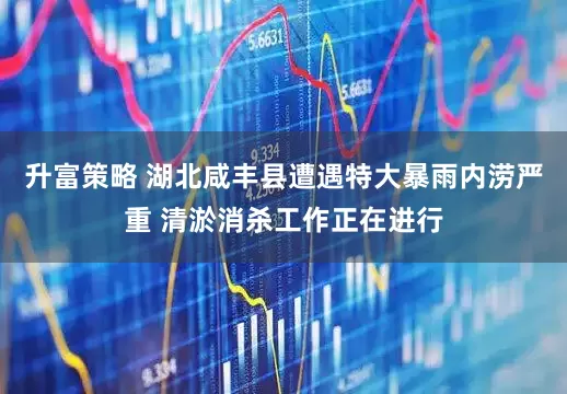 升富策略 湖北咸丰县遭遇特大暴雨内涝严重 清淤消杀工作正在进行