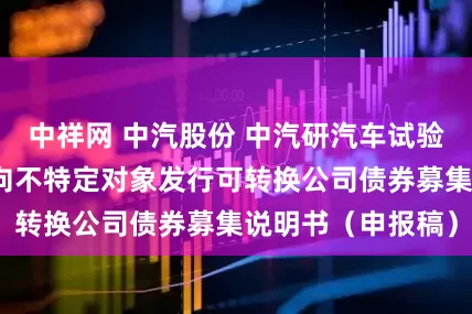 中祥网 中汽股份 中汽研汽车试验场股份有限公司向不特定对象发行可转换公司债券募集说明书（申报稿）